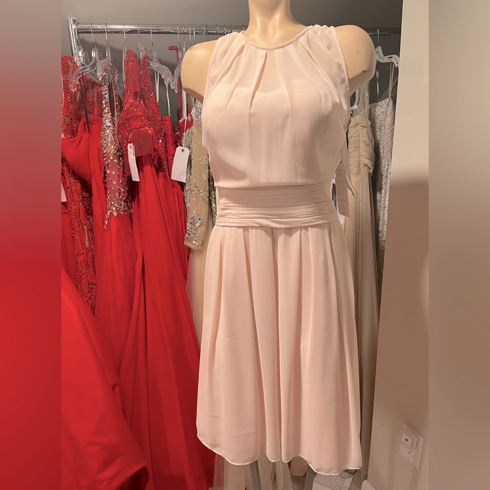 Levkoff Size 10 Petal Pink Short Bridesmaids Dress. New with Tag